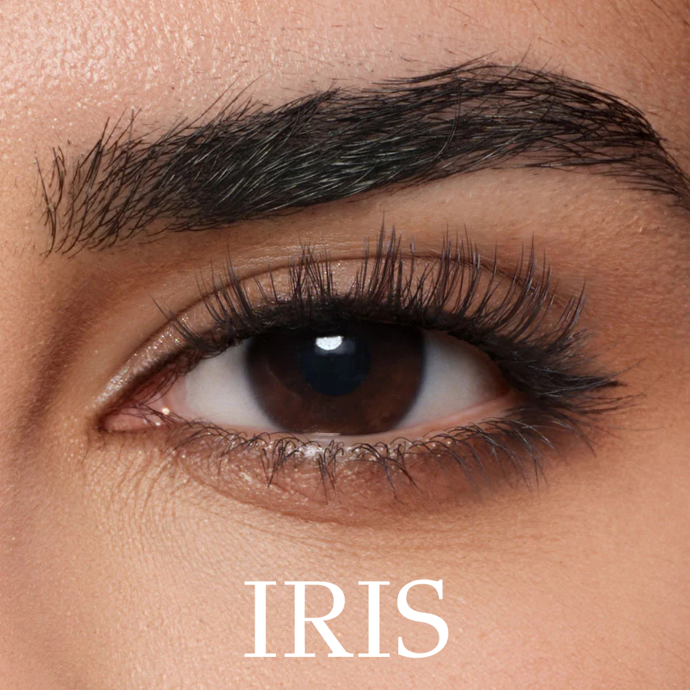 Veloura Magnetic Eyelashes™