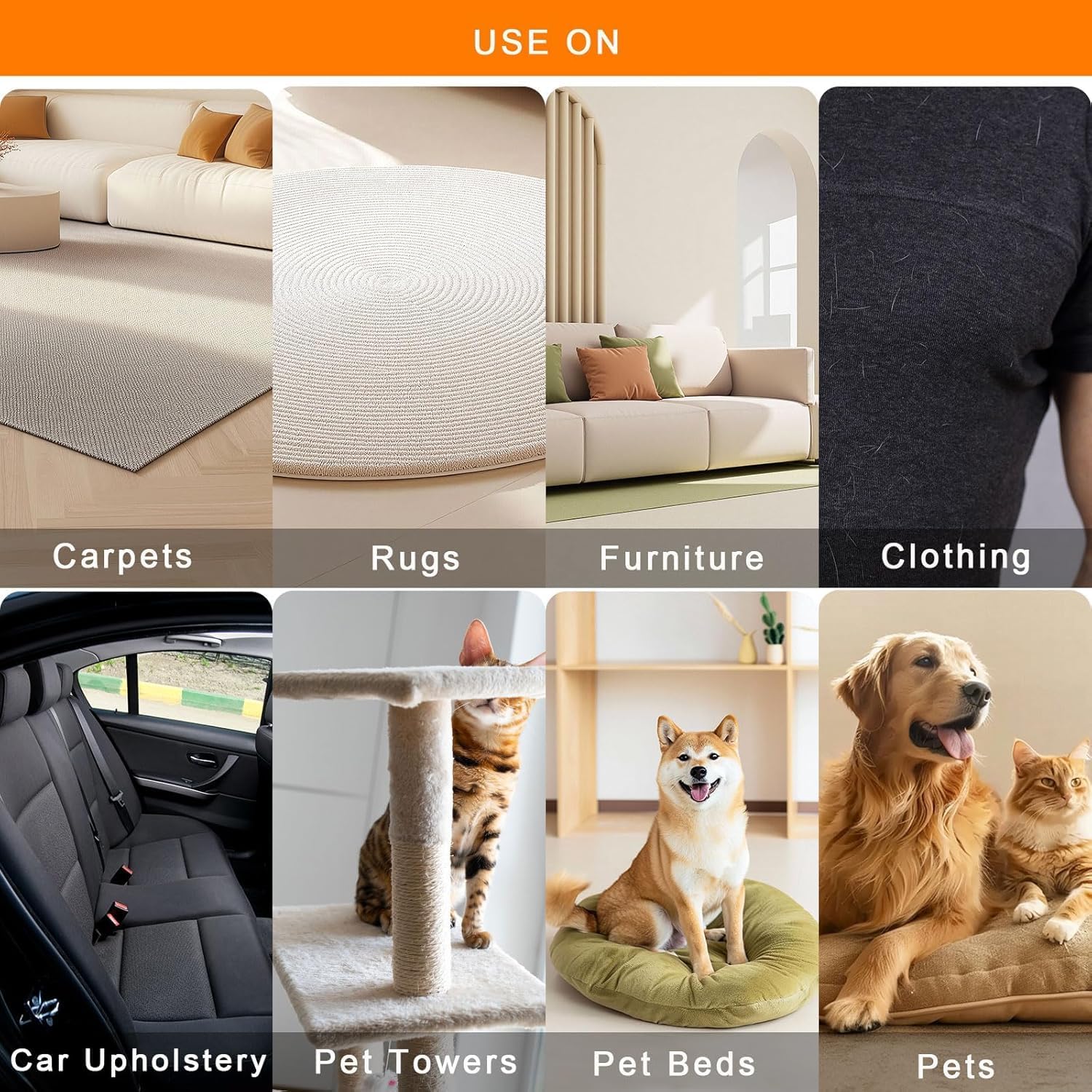 Experience a Fur-Free Home Today!